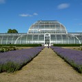 Londres-Kew Gardens (2186).JPG